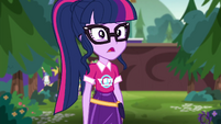 My Little Pony Equestria Girls: Sunset's Backstage Pass