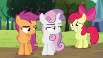 Apple Bloom smiling; Sweetie Belle and Scootaloo looks at her S5E17