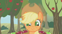 You gotta rest, Applejack.