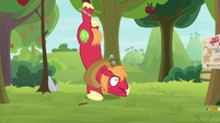 Big Mac getting hoisted by his hoof S9E10