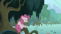 Fake Pinkie sitting by a Everfree forest swamp S8E13