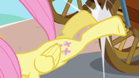 Fluttershy kicks cart S2E19