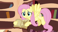 Fluttershy trying to get her friends to see the book S3E05