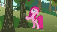 Pinkie Pie shaking a tree S03E13