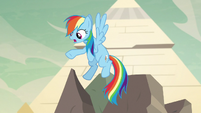 Rainbow Dash "he's about yea big?" S7E18