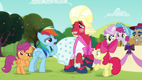 Rainbow Dash being suspicious of Orchard Blossom's true identity S5E17