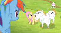 Rainbow Falls Promo 3