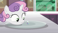 S07E06 Sweetie Belle patrzy na malutki deser lodowy