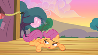 Scootaloo watches butterfly fly S4E05