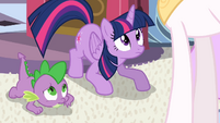 Spike and Twilight looks up at Celestia S4E01