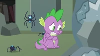Spike scared with star spiders around him S4E03.png (455 KB) Spike scared with star spiders around him S4E03