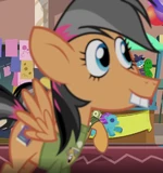 Spiral Notepad ID S6E13