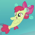 Seapony, Surf and/or Turf