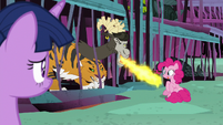 Chimera roasting Pinkie's marshmallow S8E26