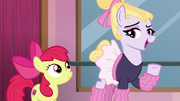 Hoofer Steps "ready to step into a partnered routine" S6E4.png