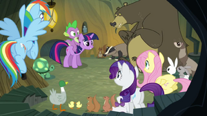 Animals My Little Pony Friendship is Magic Wiki Fandom