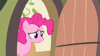 Pinkie Pie 'Whoops' S4E14