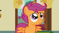 Scootaloo "Like endless!" S1E12