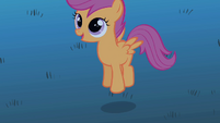 Scootaloo hopping S1E24