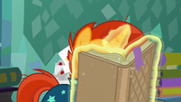 Sunburst walks with his muzzle in a book S8E8