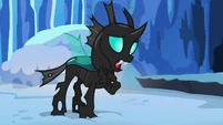 Thorax "all I've ever wanted is a friend" S6E16