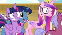 Twilight's parents rushing past her and Cadance S7E22