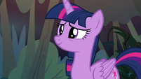 Twilight Sparkle smiling at her friends S8E13