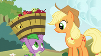 Applejack "it's not necessary" S03E09