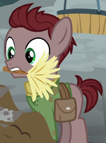 Dust Brush ID S7E25.png