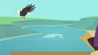 Eagle snatching fish with map S4E09