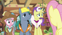 Expert ponies looking at Fluttershy S7E5