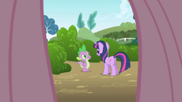 Fluttershy's point of view looking at Twilight and Spike S1E1