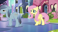 Fluttershy 'I was just wondering' S3E1