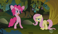 Fluttershy and Pinkie Pie - evil enchantress S01E09
