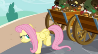 Fluttershy ready to kick S02E19