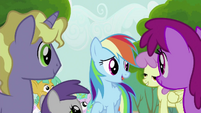 Rainbow Dash Speaks to the Crowd S2E8