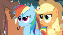 Rainbow Dash sooo S2E24