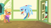 Rainbow Dash stops herself S4E05