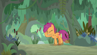 Scootaloo wet and covered in mud S9E22