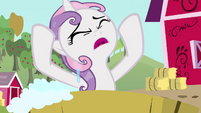 Sweetie Belle 'why does life have to be so ironic' S3E04