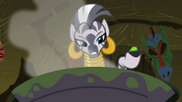 Zecora