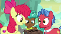 Apple Bloom "he seems okay meetin' us" S9E22