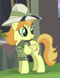 Daring Do Collector ID S4E22