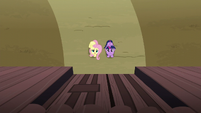 Fluttershy introduces herself to the McColts S5E23