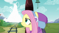 Fluttershy watching the volcano disappear S6E17