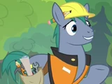 Hard Hat