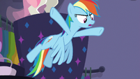 Rainbow Dash offended "what?!" S8E4