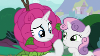 Rarity confused; Sweetie Belle amused S7E6