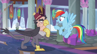 S08E01 Rainbow Dash ''Co ty tutaj robisz''