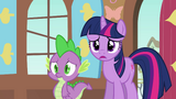 Twilight and Spike worried S03E13